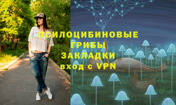 хмурый Алзамай