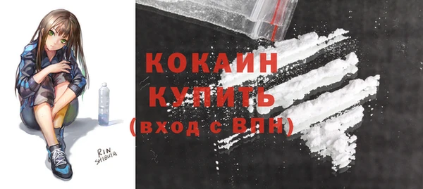 хмурый Алзамай
