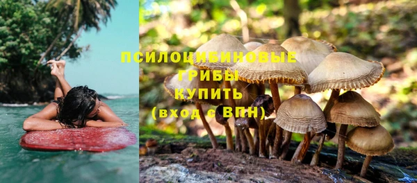 герыч Сатка