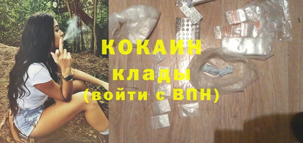 стаф Алексин