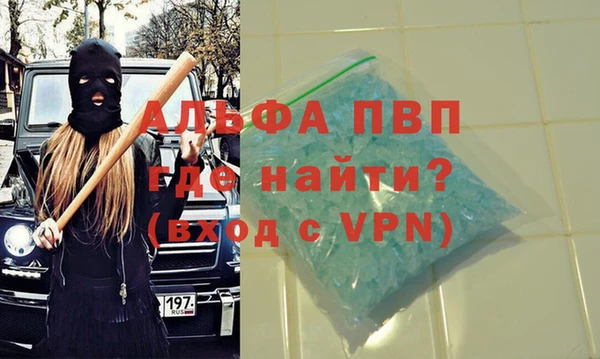 стаф Алексин
