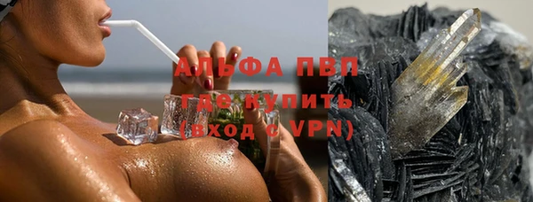 стаф Алексин